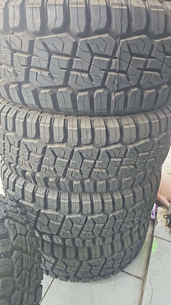 السلام عليكم
وصول اطارات جبلي و ويل كب دودج رام جمسي سيره سلفرادو  فورد f150 
للاسفسار الاتصال و المراسلة على الصفحه 
***********
***********
العنوان بغداد حي العامل شارع ٧ نيسان
