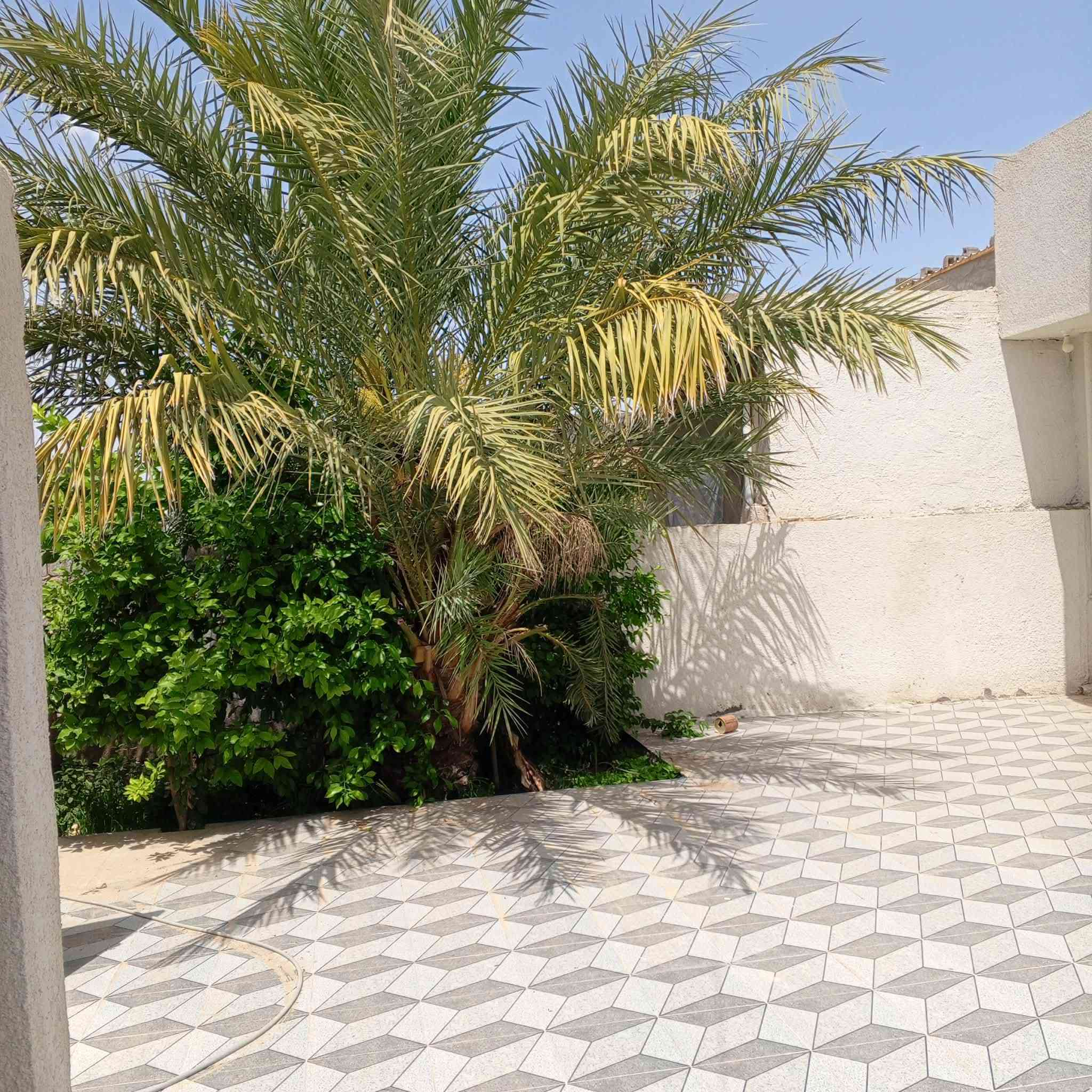 بيت للبيع بمساحة 300م، يقع في شارع النفط - شارع نعيم للهاتف النقال. يتكون البيت من غرفتين، صالة، مطبخ، واستقبال. االبيت  سيراميك بالكامل (لتواصل ***********).
