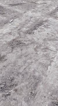 الحديد • قرب تتن • ٤ دوانم