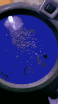 (دراجه سكنس جبلي )
موديل 2012 دراجه 
بل جيس نفس ماومضح بل صور 
***********
السعر 1650وبيه مجال 
صارله 8ايام من نازله من الحاويه 
عنوان بابل حله شارع 80جهة كربلاء
