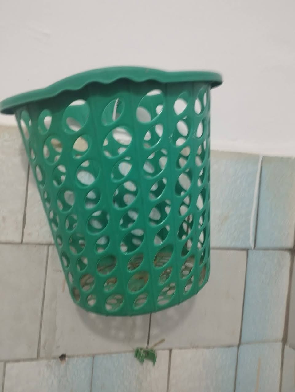 هاي الاغراص ب200الف


**إذا كنت صاحب هذا الإعلان وتريد حذفه لأي سبب، رجاءا أرسل رسالة إلى الدعم الفني**