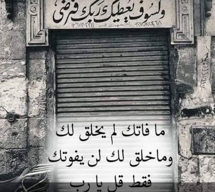 للبيع سعر مرتاح جدا

٣٠٠ عجله تيوبلس على الهوا 
من ١٣  الى   ١٩ ملاكى 
ملاكي  تيوتا  نص نقل 

اسكوتر   متوسيكل   فيسبا   تروسيكل 

٠١٠***********٠١٣٢٧٢٧٤
