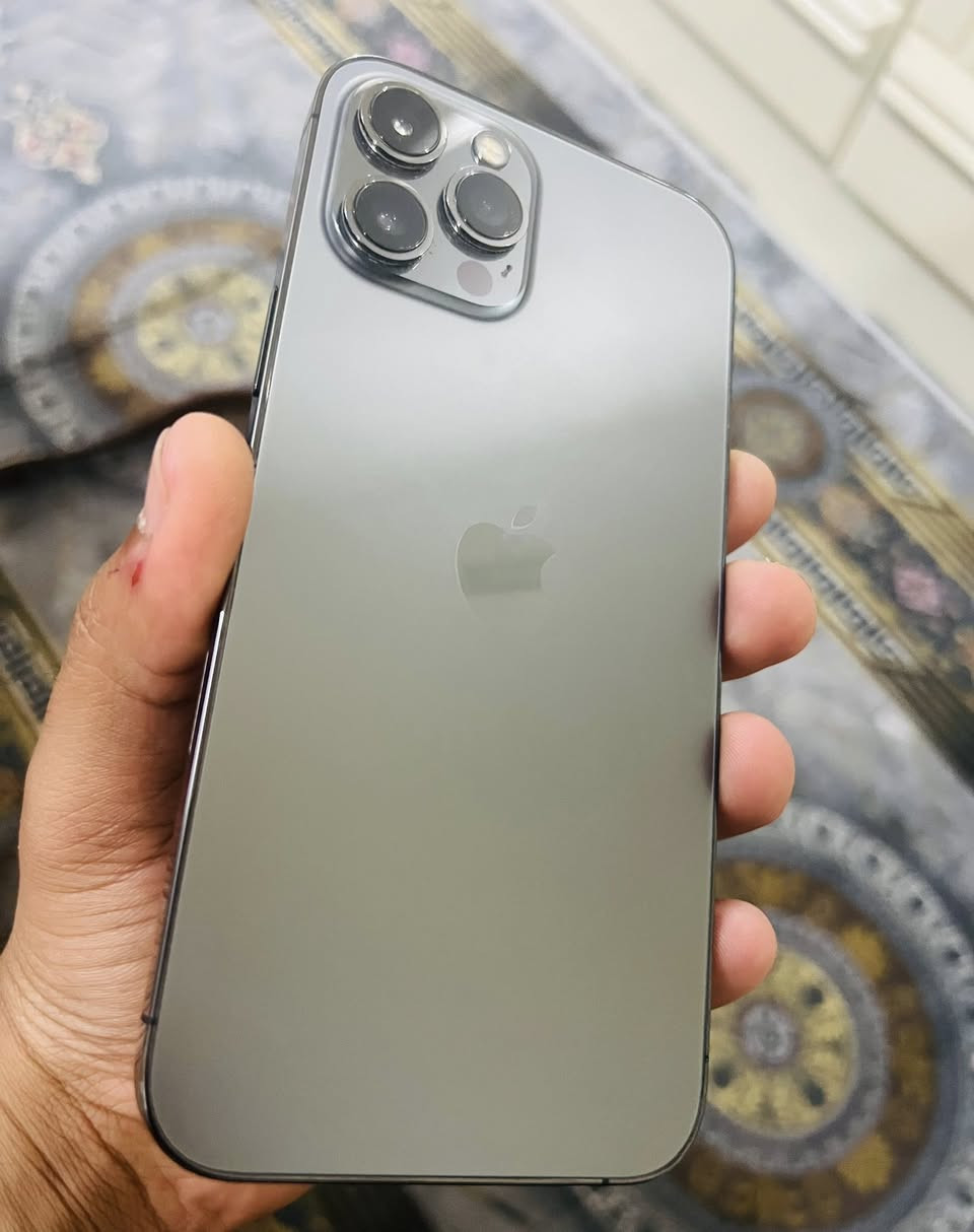 ايفون 12 برو ماكس
ذاكره ٢٥٦ 
بطاريه ٨١ 
جهاز جداا نظيف ومامفتوح على وضع الشركه
السعر كيم واخذه


**إذا كنت صاحب هذا الإعلان وتريد حذفه لأي سبب، رجاءا أرسل رسالة إلى الدعم الفني**