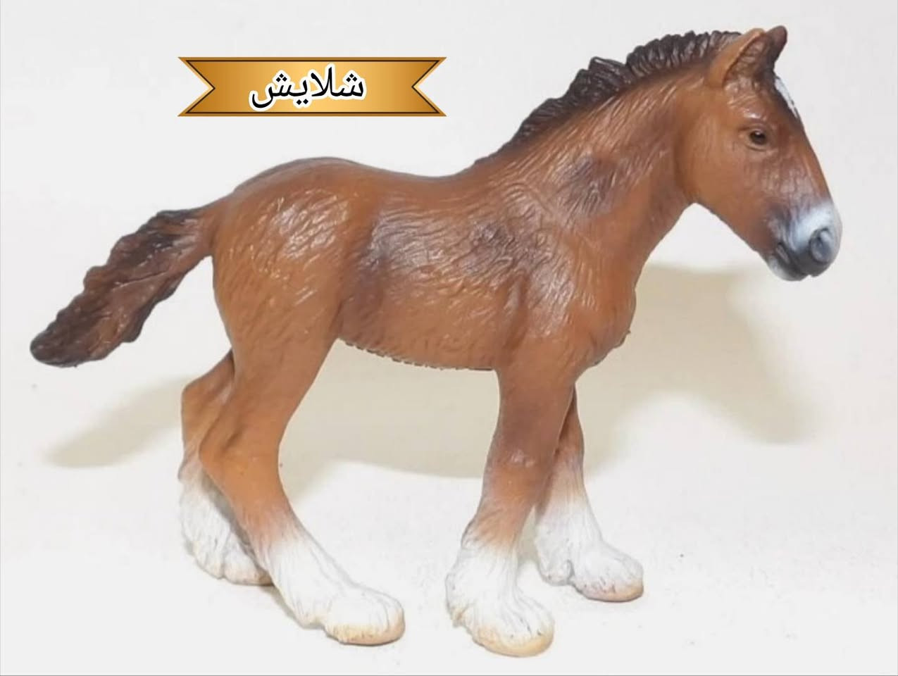 متوفر شخصيات ✅يوجد توصيل لجميع المحافظات 🚚✅


**إذا كنت صاحب هذا الإعلان وتريد حذفه لأي سبب، رجاءا أرسل رسالة إلى الدعم الفني**