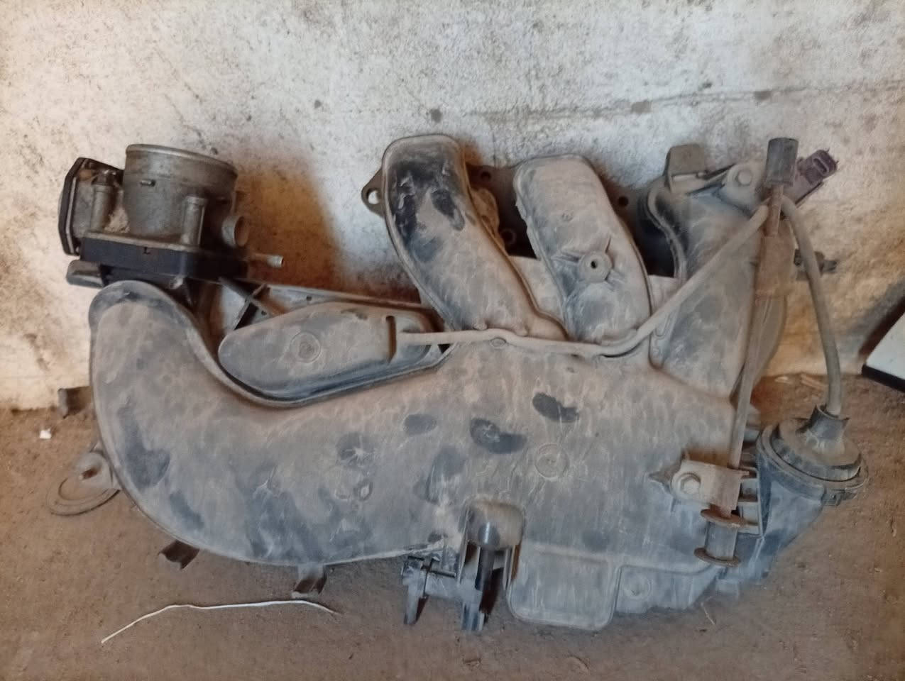 يوجد غراظ فور چنر تفصيخ 
العنوان بصره ناحية الشافي ***********
