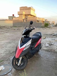 ثعلب بلادية • كفالة مراوس • رمبة