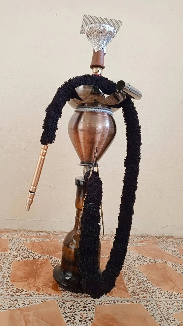 نرگيله طه بابلي بالشرط للبيع السعر 45 قفل *********** الرقم بي واتساب 🤎
