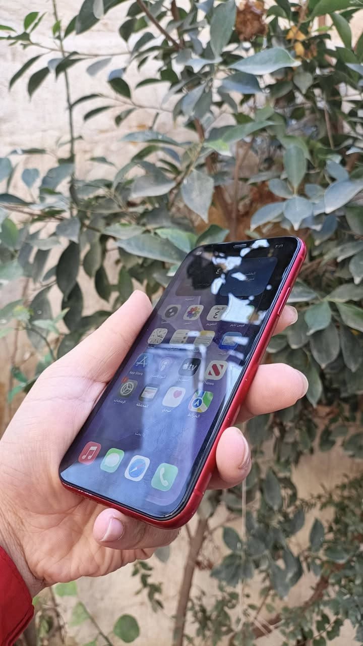 ايفون 11
نموذج A 
ذاكرته 128
بطاريه71
مستبدل شاشه فقط+ فيس ايدي وكف 
جهاز نضيف كله شغال شعجبك فحص 
مكاني بغداد 
سعر 190بي مجال قليل


**إذا كنت صاحب هذا الإعلان وتريد حذفه لأي سبب، رجاءا أرسل رسالة إلى الدعم الفني**