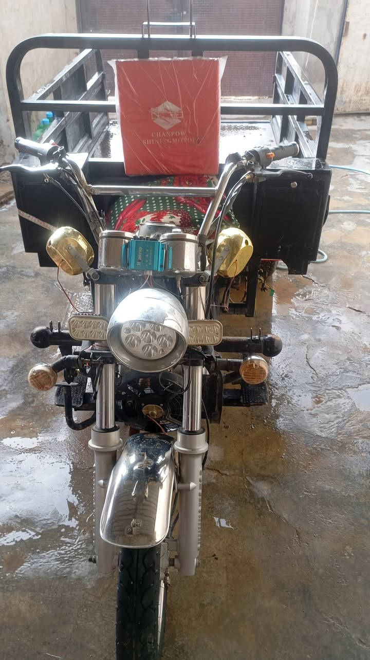 ستوته للبيع موديل 21ستوته فحل اوراق كامله مكاني اديالى بعقوبه للاستفسار اتصل على هذه الرقم *********** وشرط الستوته بل واقع أحله لين الكامره تعبانه
