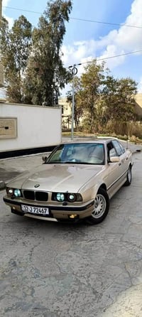 بي ام 525 • ١٩٩٣ • صبغ عام