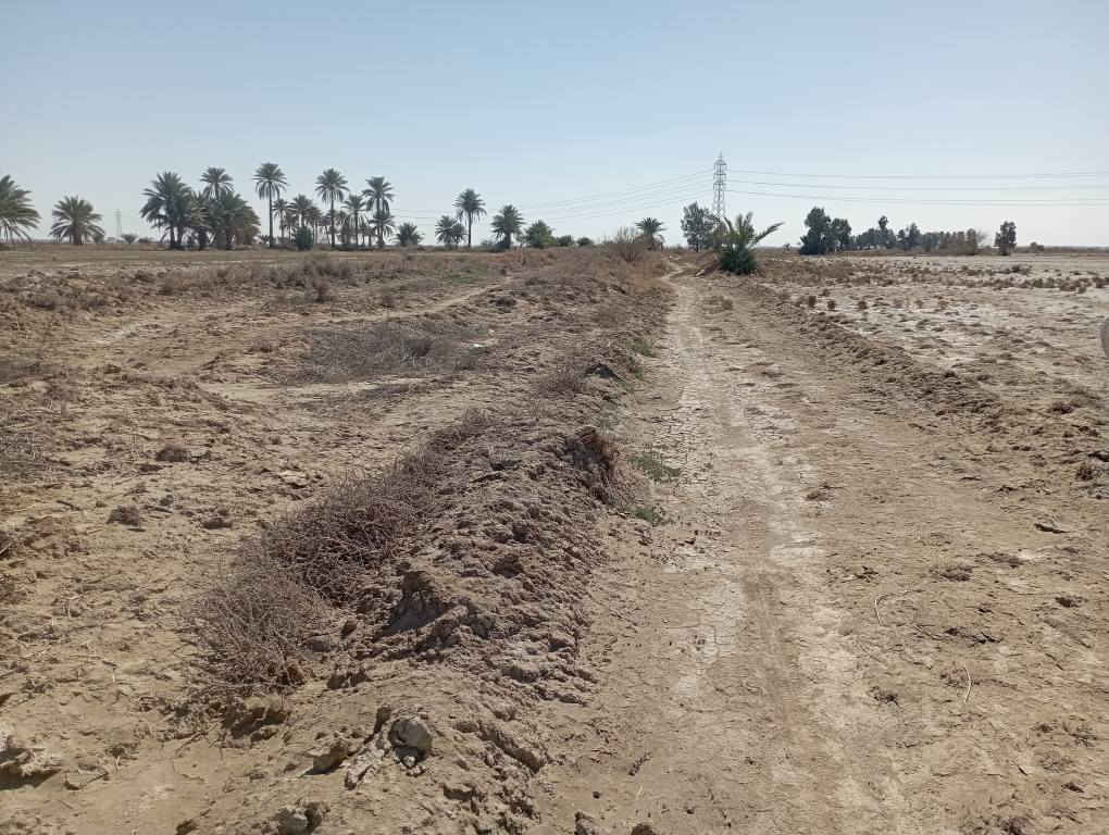 سلام عليكم يتوفر 45دونم عقد زراعي منطقة الفندقية قرب العلوية ام حمدان عقد 35   بسعر 110مليون    يتوفر هيكل مسقف مئسس ماء كهرباء مجاري مساحة 600متر ملك صرف قرب سيطرت الاثار حي المرتضى شار الصيدلي الي يحب تفاصيل اكثر على وتساب لتواصل *********** حلة, بابل
