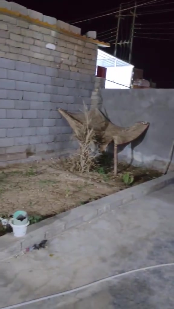 السلام عليكم بيت للأيجار الموقع حي السره البيت بي 3 غرف دوانيه مطبخ صاله مع صحيات ماي وكهرباء ومساحة كدام البيت 10 متر البيت جديد بعده محد ساكن بي نظيف *********** قرب مدرسة الصينيه
