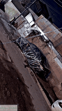 ‏‎يا الله😍 خلي سيارتك دائماً نظيفة 😉😉 جادر نايلون شفاف يوفر حماية ونظا...