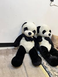 باندا • قطعتين • حجم كبير