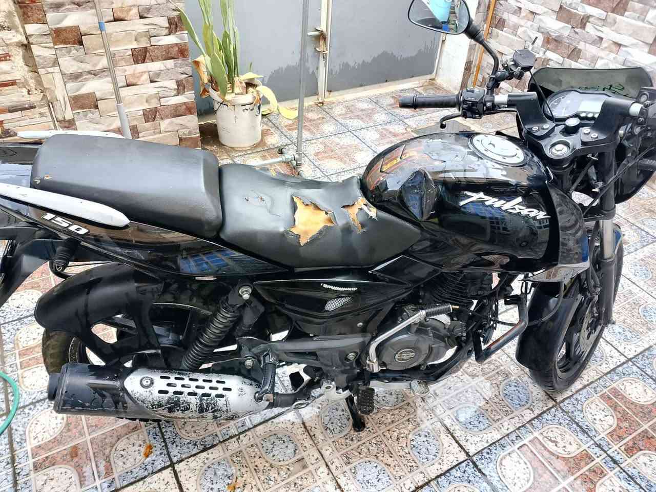 دراجه بونسر نضيفه
موديل ٢٣ 
اوراق مابيه عطله فقط كتف ناريه والبريك الورا ينرادله بس بنز والي كدام يحتاج اله فج ودسكات السعر ٧٠٠ الف 
للمراسله 
***********
