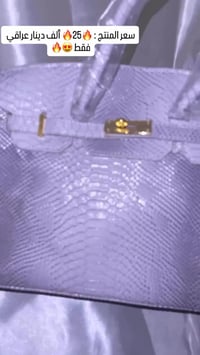 هيرمز ماستر • جلد ثعبان • حقيبة بيج