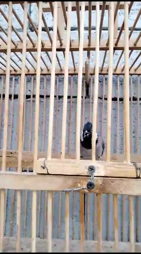 مجال 75$$


**إذا كنت صاحب هذا الإعلان وتريد حذفه لأي سبب، رجاءا أرسل رسالة إلى الدعم الفني**