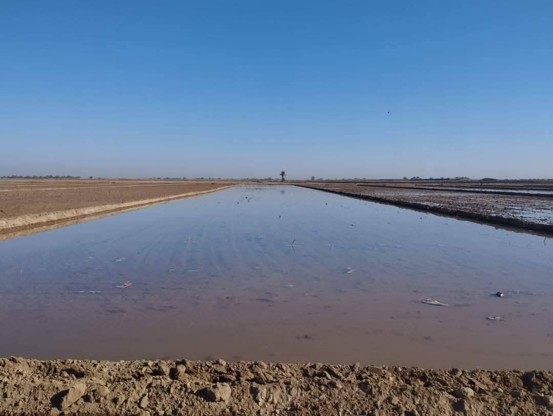 السلام عليكم مستعدون لتعديل الاراضي الزراعيه بتقنيت اليزر شرط السقي وتجهيز كراب فدان دسك في جميع المحافضات ***********
