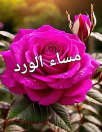 حي المصطفى • ٢٠٠م • ٢غ وصاله