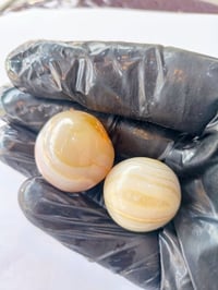 سليمانيات • معطفات