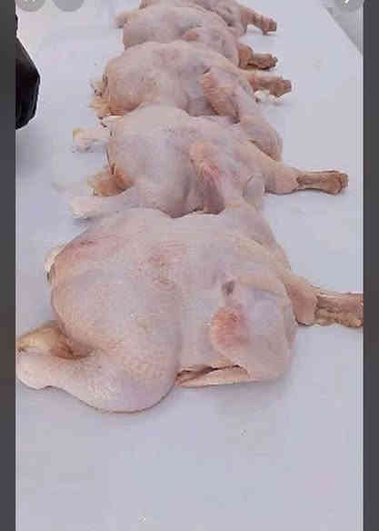 يوجد دجاج ذبح وكفت الوزان الكيلو 2900 العنوان شارع المعارض رقم الهاتف ***********
