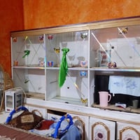 خزائن • سماوه • للبيع