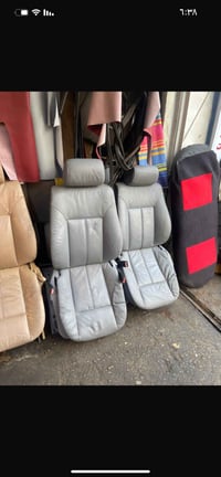 كشنات خفاش رصاصي للبيع