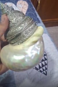 كحلة أمّ اللؤلؤ • نادرة • البصرة