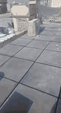 نعمل بالضمان وعليك الأمان
احمي سطحك من الرطوبه ….

تطبيك السطوح بالاشتايكر  والاوزيگام وقلع الفرشي القديم

وترميم السطوح القديمة  وأعادة الماستك وتزفيت السطوح  كرستة وعمل 

  شغل درجة اولى 

زفت 
نايلون زراعي 
فلين او فووم حسب الطلب 
زميج
اشتايكر درجة اولى 
ماستك
..*********** نعمل في كربلاء
