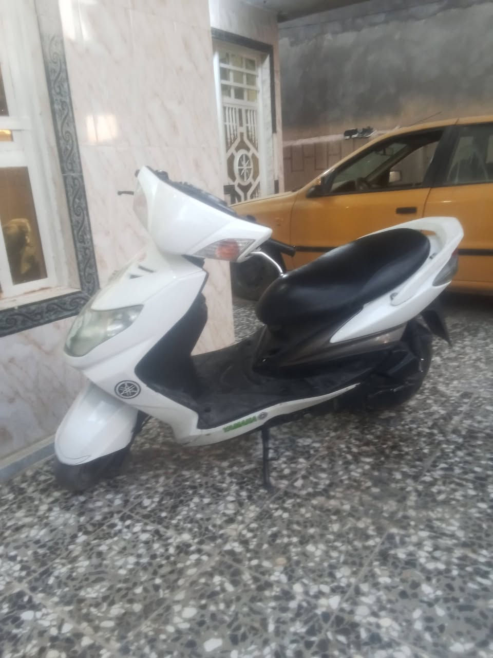 سكنس فحل نوزل للبيع رقمي***********
