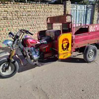 ستوته • موديل 14 • اوراق باسمي