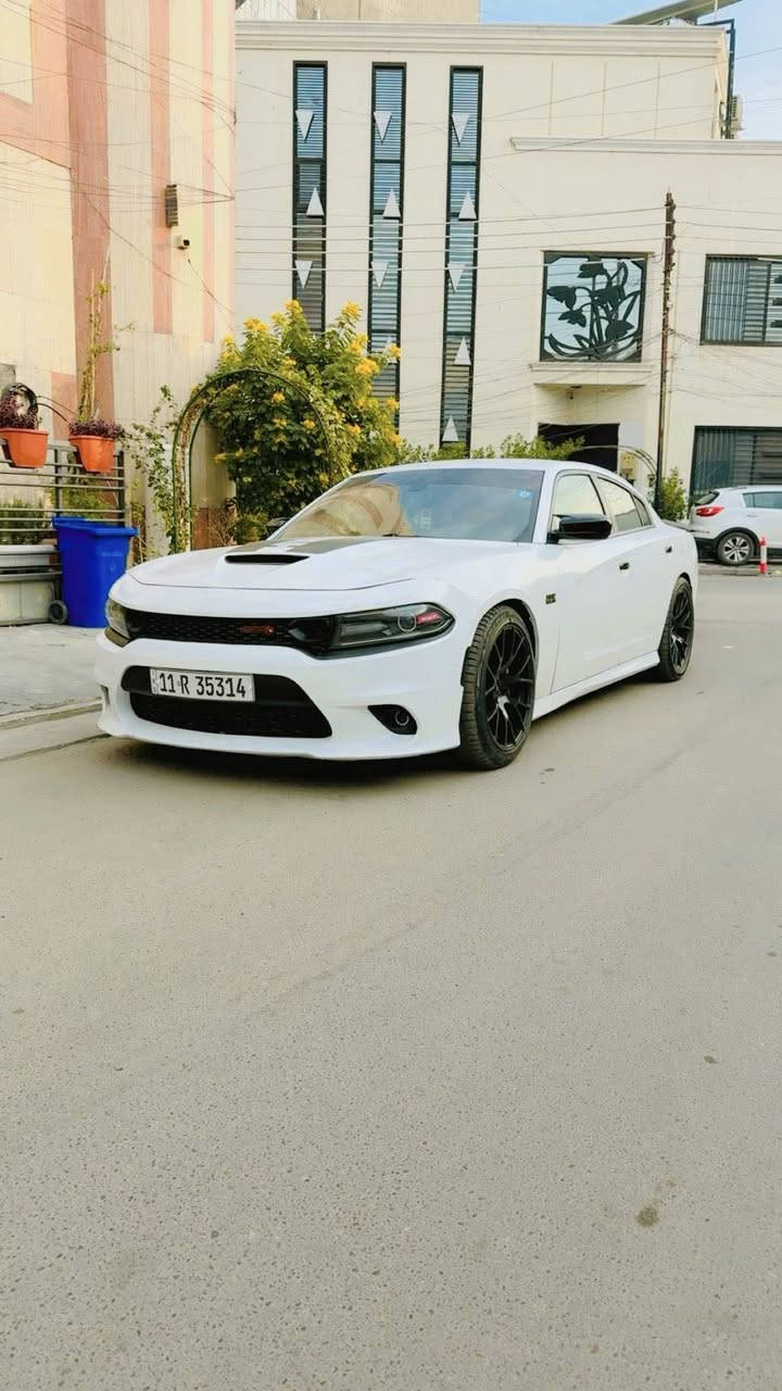 سلام عليكم شباب 
جارجر سكات باك للبيع 
موديل 2022 
اللون ابيض 
مكينه V8 / 6400ccm
ماشيه : 35 m 
رقم بغداد بأسمي والتحويل ثاني يوم 
المواصفات 
——————————-
كشنات كنتاره احمر مختم ( سكات باك ) 
فجوج بريمبو 6 بستم 
اكسل قفل 3.9 
كير 8 نمر 
دبات موبار سود
شاشه كار بلي 
كشنات تدفئه تبريد 
4 مودات قياده 
ذاكرة خزن ميموري 
حساسات خلفيه + جانبيه 
كامره خلفيه 
وباقي مواصفات السكات باك معروفه 
الأضافات 
———————————
لدات اوركال متغير 
وسقف روز رايز

حادثها 
——————————-
جاملغ وبنيد فقط 

* علماً السياره مناقصها اي شي جاهزه مجهزه 
* لا بيها تكحيل ولا بارد وكشرها كلش حلو 
 السعر 228 وبيها مجال بصيط وبالعافيه على الي ياخذها
مكاني بغداد / المنصور 

شراي يتصل ***********
