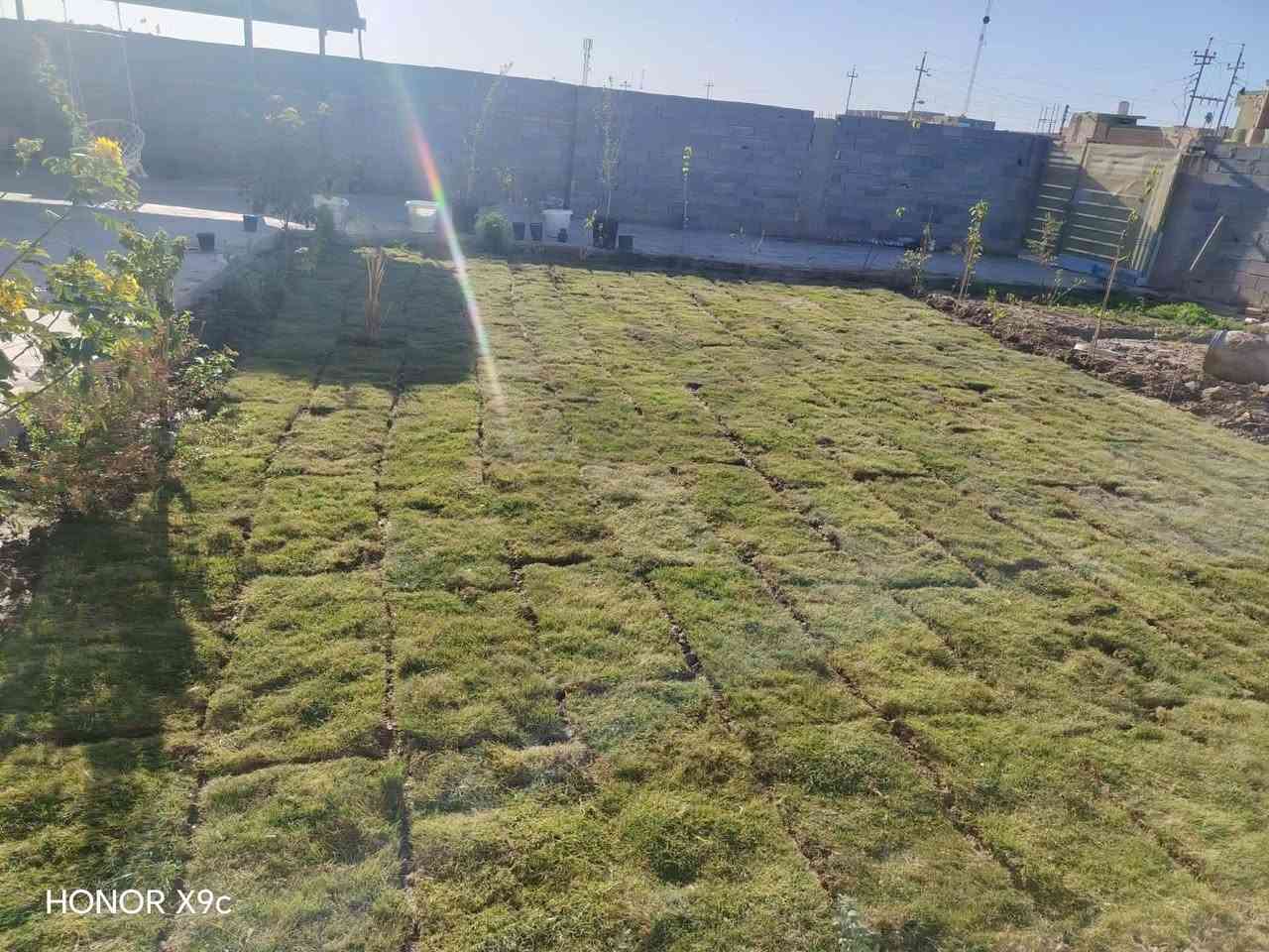 عمل ديكور حديقة او شلالات  حسب الطلب
وتزيين الحديقة وزراعتها بالثيل الطبيعي وشتلات الزينه 
مع اضافة الاسمدة والمبيدات قبل وبعد العمل 
للتواصل 
ذي قار / الرفاعي
***********واتساب
