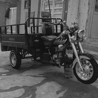 ستوته • ٢٠٢٢ • اوراق