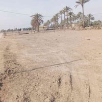 كاع الزكندري • ١٣٥٠م • طابو زراعي سند ٢٥