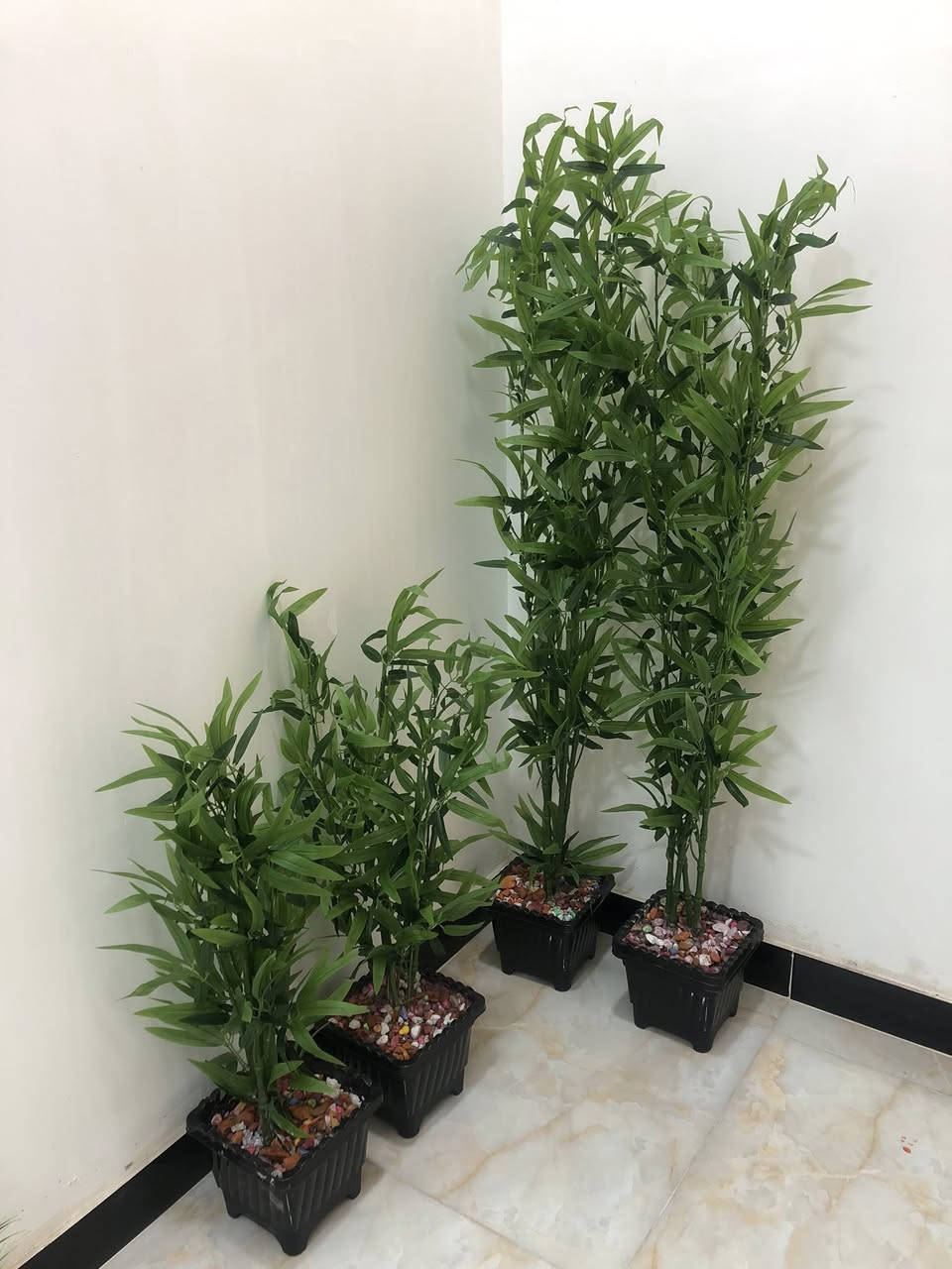 للبيع بغداد الشعب


**إذا كنت صاحب هذا الإعلان وتريد حذفه لأي سبب، رجاءا أرسل رسالة إلى الدعم الفني**