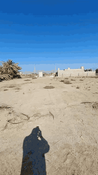 #للبيع 101@

🏝️🔴 ارض طابو زراعي سند ٢٥ مداور مباشر من المالك

🔺 المساحه :- (٢٥٠٠ متر ) واحد دونم 

🔺الموقع :- طريق الدغاره نزله قريه زبيد 

🔺الخدمات :- كافه الخدمات 

🔺السعر :- يتم الرد في التعليقات 

🔴 للاستفسار :- المراسله عبر الماسنجر  او الاتصال على ***********او زياره مكتبنا الكائن في طريق ديوانيه/ دغاره قرب مطعم واثق /مكتب قمم الصروح للعقار
