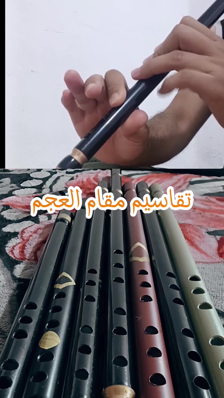 ناي احترافي دوزان حقيقي تعليم عزف مجاني


**إذا كنت صاحب هذا الإعلان وتريد حذفه لأي سبب، رجاءا أرسل رسالة إلى الدعم الفني**