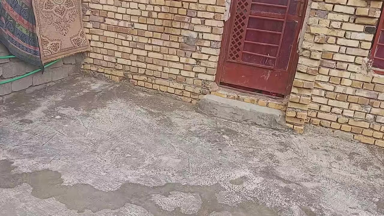 سلام عليكم بيت للبيع طابو زراعي سند 25بالقاسم بال امراد يتكون غرف عدد2
4*5 
 وصاله طوله10وعرضه 4ونص والمضيف طوله8ونص وعرضه 4ونص والبيتونه عرضه 4ونص وطوله 3ونص وصحيات بيت بوكس كونكريت طابوك بناء جديد بس سياج ابلوك  المضيف عايز باب وشباك وسكف
مساحه 200متر كامل درجه كهرباء مولد مجاري كامله مي اساله    السعر 31وبي مجال 
مرفوع عن الشارع اهواي ***********بي وتساب خاف متحصلوني على خط
