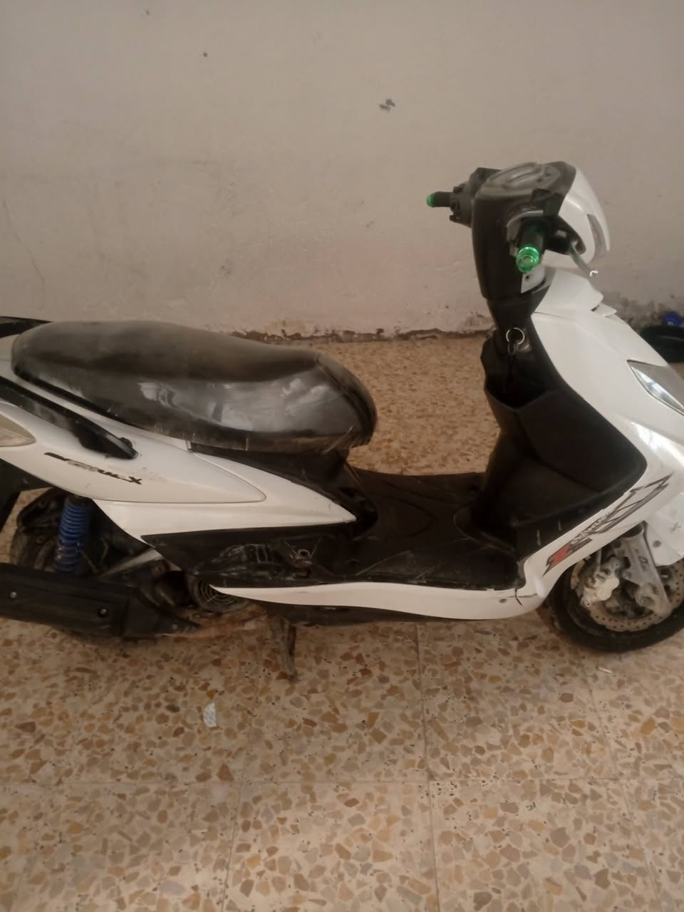 سلام عليكم سكنس فحل للبيع سعر 550بيه مجال 📞🫵 ***********
