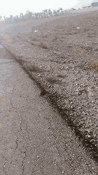 دونمين البيع.  طابو زراعي سند ٢٥. تحويل ٢يوام. ماء وكهرباء وتبليط. العنوان بغداد  عكركوف.   رقم تليفون *********** شراي يتصل واني بخدمته
