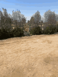 مرحبا… دونم للبيع مع بيت 300 متر متوفر ماء وكهرباء ومدارس العنوان مشاخيل خفاجه مقابل قرية الخلاويين 
يحتوي البستان على  55 نخله شويثي و برحي
رمان زيتون رارنج نبك وتين وتكي السعر 45مليون البيع لعائلة فقط 
***********
