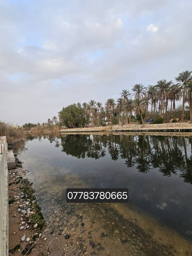 دونمين للبيع – موقع مميز على شط حمدان مباشرة
📍 الموقع: البصرة / أبي الخصيب / حمدان
📐 المساحة: دونمين
📄 الملكية: طابو صرف (سهم)
🔄 التحويل: مباشر باسم المشتري
✨ مواصفات العقار:
إطلالة مباشرة وجميلة على شط حمدان
أرض فارغة وجاهزة للبناء
موقع هادئ ومرغوب
قريب من الخدمات الأساسية
🏡 مناسب جدًا للسكن أو للاستثمار (سكني / مشاريع استثمارية)
📞 للاستفسار والاتصال:
*********** البصرة, العراق
