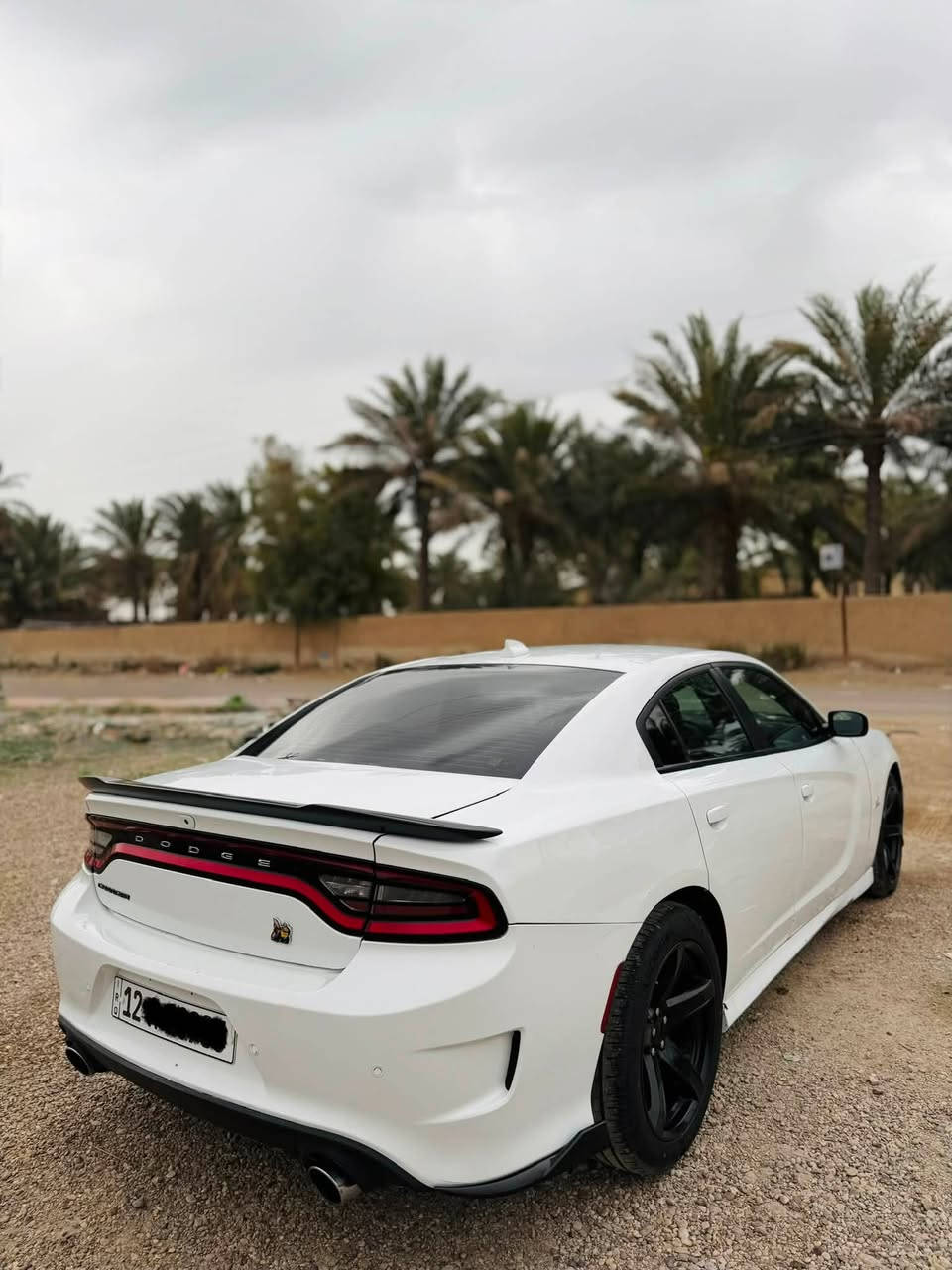 السلام عليكم 
جارجر سگات باك 6400 اصل 
موديل 2021 
السعر 215 $ وبيها مجال  
رقم نينوى بأسمي هزه وارقام وسنوية كلها جديد تحويلها ببغداد وين ميعجبك 
بيها 3 قطع صبغ وبنيد تحديث " جاملغ امامي وجاملغ خلفي وقبق صندوق فقط الوجه مالته مصبوغ " 
بيها سحب براس الشاصي الايمن بسيط فقط 
كشنات حضن 
دركة SRT 
تبريد قطعتين 
برمجة مصطفى أيكل 
ويالة نجمة الاصلي
كشنات تدفئة 
ستيرن تدفئة
سماعات الباين
بصمة تشغيل 
بصمة ابواب 
شاشة كبيرة 
مودات قيادة 
السيارة جاهزة من كلشي 
مكاني بغداد الكرخ 
*********** اتصال وواتساب
