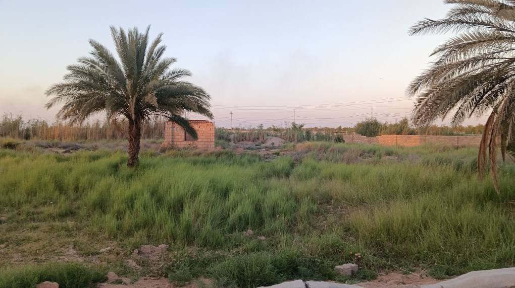 33 دونم للبيع 
في كربلاء، على شارع بغداد ، تبعد مسافة قريبة عن الشارع العام.
نوع السند: طابو 25
تقع مباشرة على شارع مبلط بعرض 10 متر
الخدمات: كاملة (ماء، كهرباء وطنية، خط مولد)
تحتوي الأرض على أنواع مختلفة من النخيل وتصلح للاستثمار بمختلف المشاريع.
ملاحظة: من الممكن بيع قسم منها أو جميعها

للاستفسار الاتصال على الرقم 
***********
*********** كربلاء, العراق
