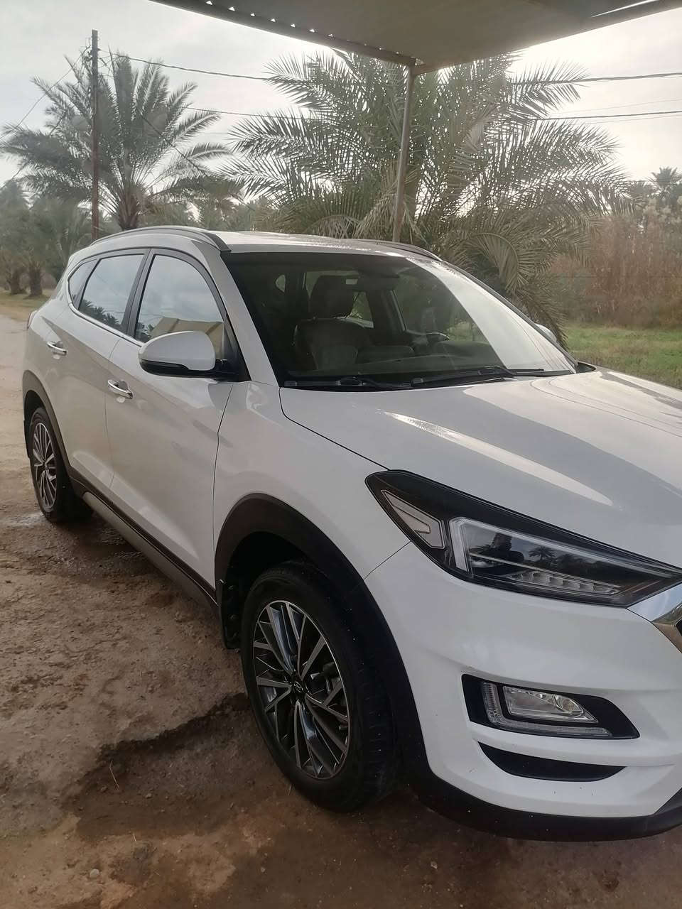 السلام عليكم للبيع او المراوس عجله توكسون موديل ٢١ فول مواصفات عدا البنراما ٥ عدسات تشعيل عن بعد بصمتين ترحيب مري شفط داخل جلد وباقي المواصفات سيارة كفاله عامه حتا الدعايات عن الشخ والرصعه عدا كارت كد البصمه وشخط كلش خفيف بالدعاميه الخلفيه
***********
