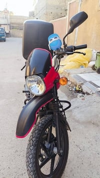 بوكسر جبلي • موديل 23 • كفالة مرقمة