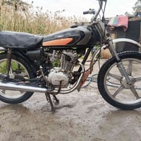 تايگر • اوراق كاملة • ١٥٠