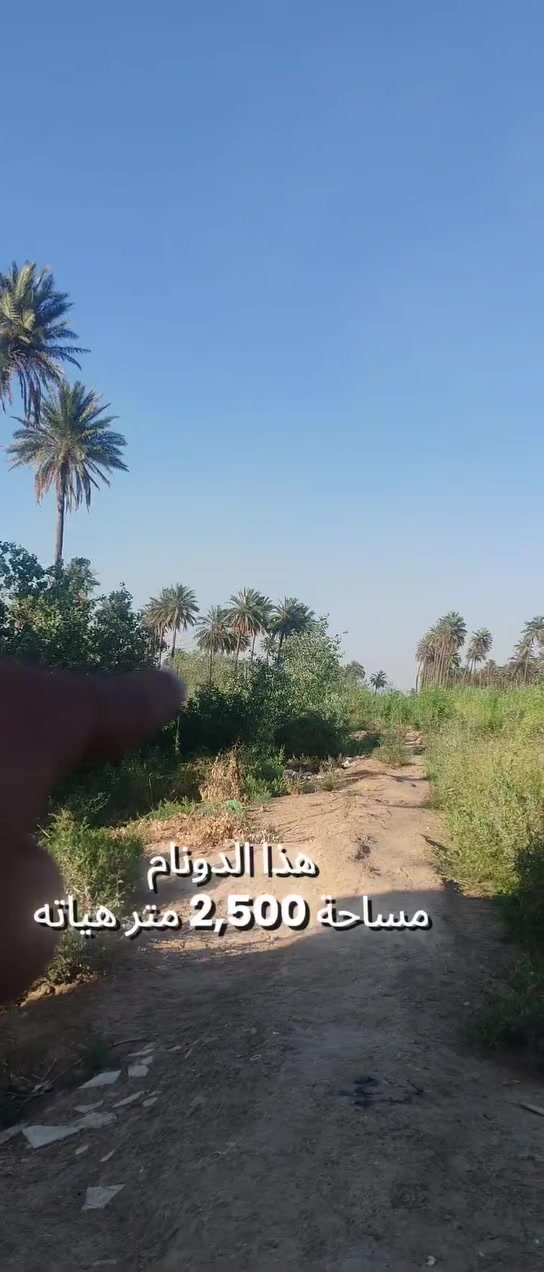 للاستفسار اتصل ع رقم ***********
دونم  ٢٥٠٠ متر
