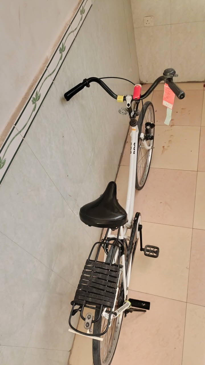 اسلام عليكم 🤍شباب باسكلل 🤍للبيع 26 🤍نضافه 100/90🤍 كامل برغي ما عايزز 🤍مكان نجف 🤍حي السلام الشراي خاصص 🤍


**إذا كنت صاحب هذا الإعلان وتريد حذفه لأي سبب، رجاءا أرسل رسالة إلى الدعم الفني**